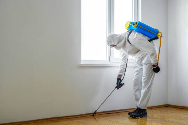 Best Indoor Pest Control  in Reston, VA